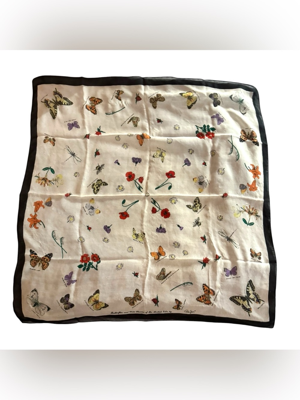 Vintage Floral & Butterfly Print Silk Scarf - Cream with Black Border